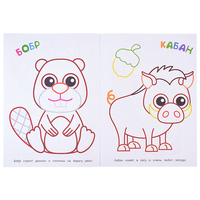 Лесные животные. Первая раскраска. 