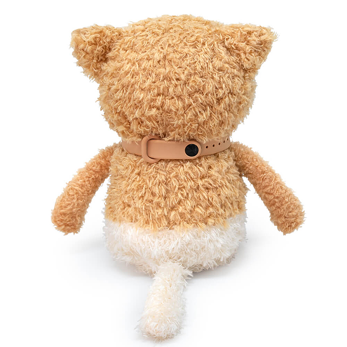 Кофейные коты Раф