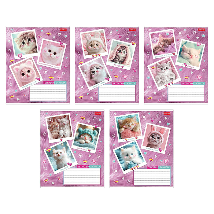 Тетрадь 24л. клетка "Мяу-статусы" А5 на скобе 5 диз.в блоке скругл.углы 