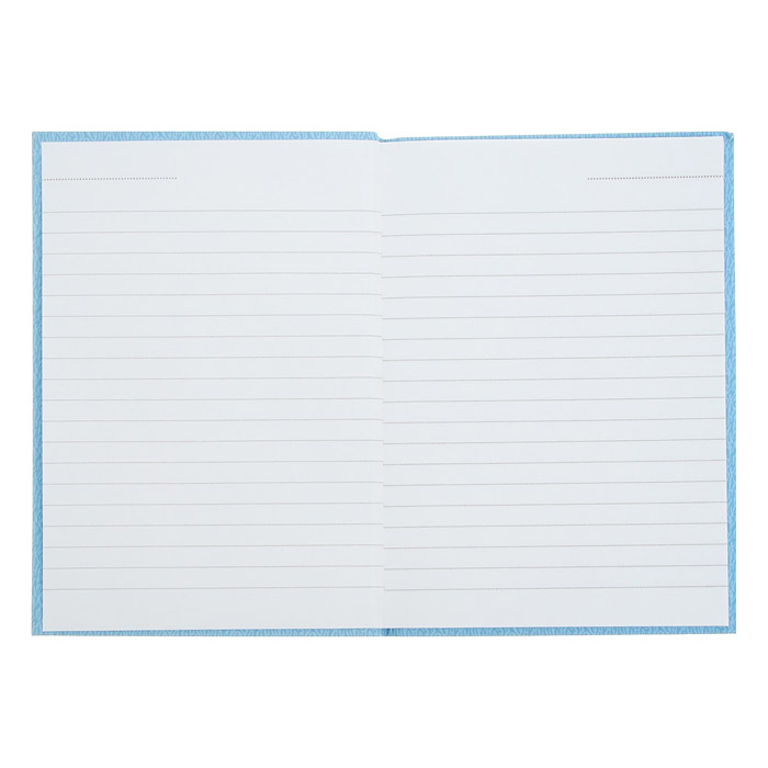 Записная книжка 64л. А6 "В голубом"