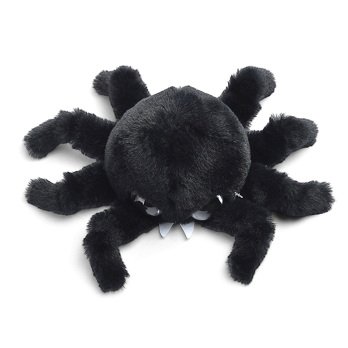 Паук Жорик чёрный В15