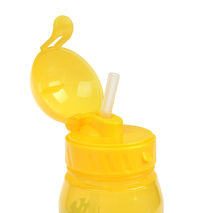 Бутылка для воды и других напитков 400 мл. "Вокруг света" в ассортименте