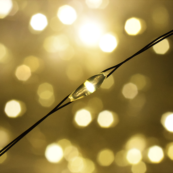 Фото к товару Электрогирлянда 5м, 50 ламп, теплый Электрогирлянда 5м, 50 ламп, теплый