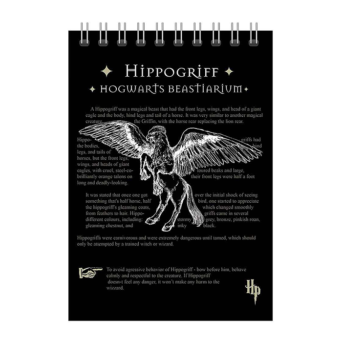 Блокнот 60 л., клетка "Гарри Поттер" А5, на гребне