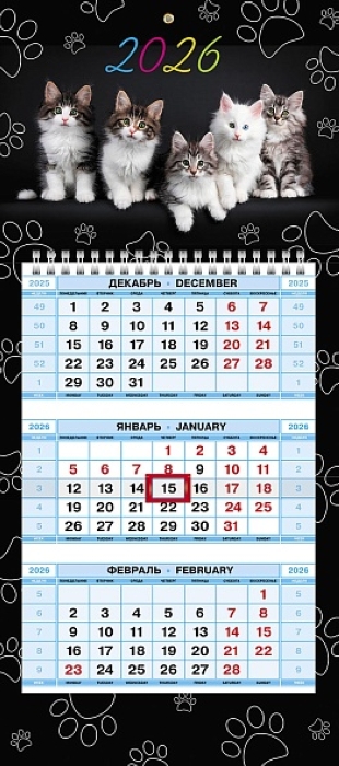Календарь квартальный 3-х блоч. на 1 гребне "Котосессия" 2026г