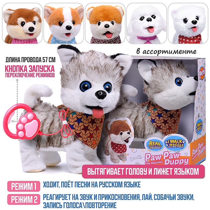 Собака 00-6825 "Боня" (может говорить, ходит, записывает)  в коробке