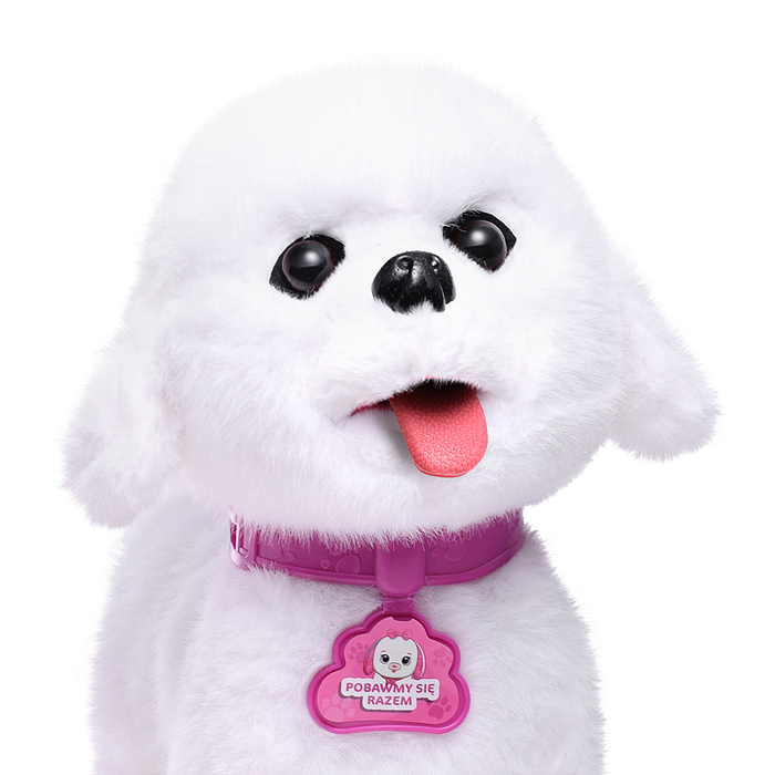 Собака 00-6825 "Боня" (может говорить, ходит, записывает)  в коробке