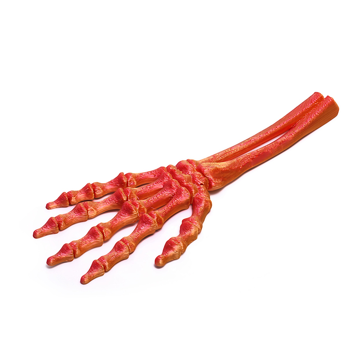 Фото к товару Игрушка-антистресс 00-7151 "Рука" Игрушка-антистресс 00-7151 "Рука"