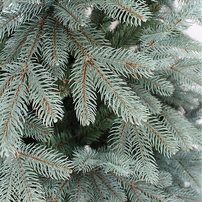 Ель искусственная "Виола" голубая 1,5 м