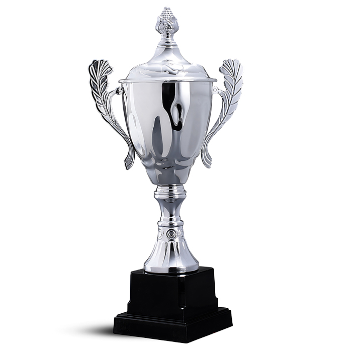 Кубок спортивный 00-6981 металл (29 см)