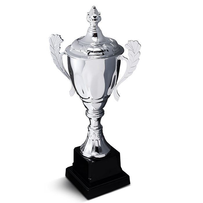 Кубок спортивный 00-6981 металл (29 см)