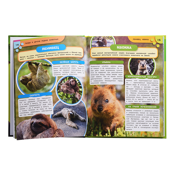 Энциклопедия с заданиями "Панды и другие редкие животные" 48 стр.