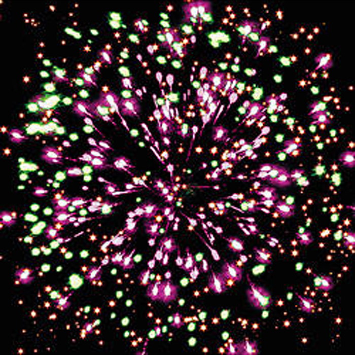 Батарея салютов "Сафари" (0,6" х 36 залп.) 