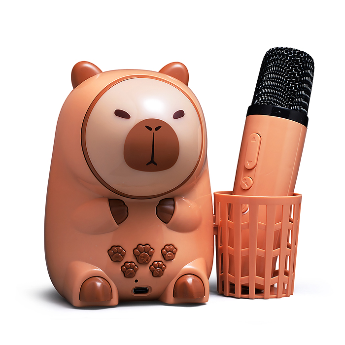 Караоке - центр игрушечный 826-1 "Поем вместе" в коробке