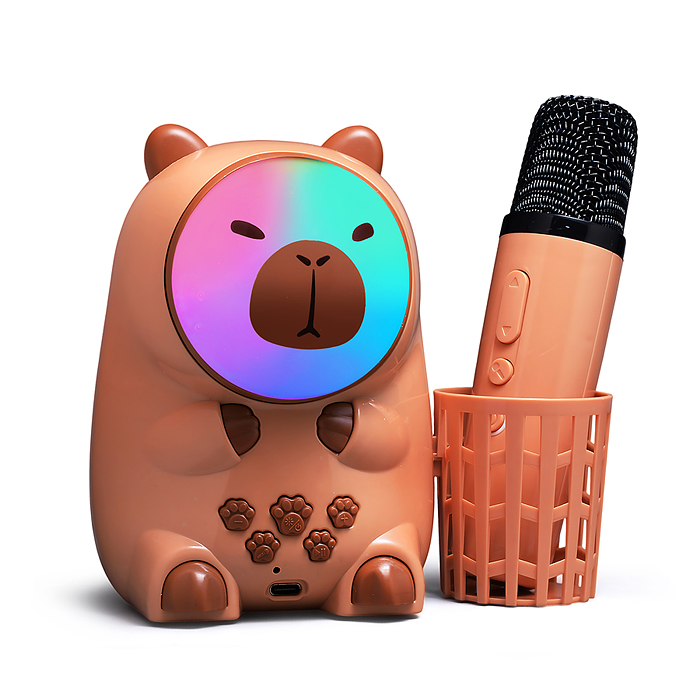 Караоке - центр игрушечный 826-1 "Поем вместе" в коробке