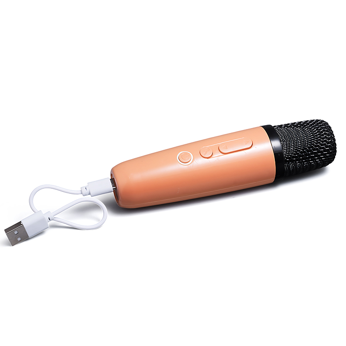 Караоке - центр игрушечный 826-1 "Поем вместе" в коробке