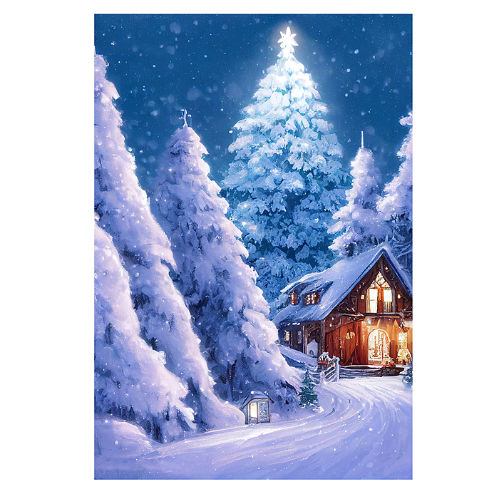 Алмазная мозаика 17х22 "Зимняя ночь" c подр., с полн. заполн. (21цв) (класс.)