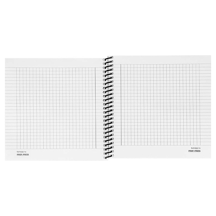 Записная книжка 48л. "Лес в тумане" 158х158см. пластиковая обложка, цв.спираль