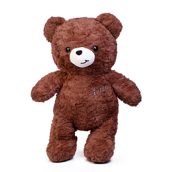 Мягкая игрушка "Медведь" М1562 с пледом (110х150)