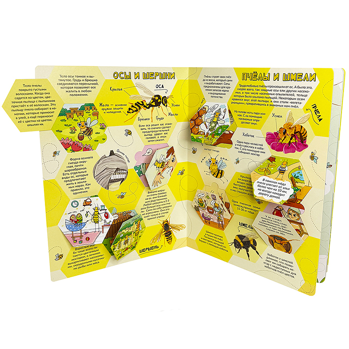 Энциклопедия с окошками (ЦК) Моя первая книга о насекомых