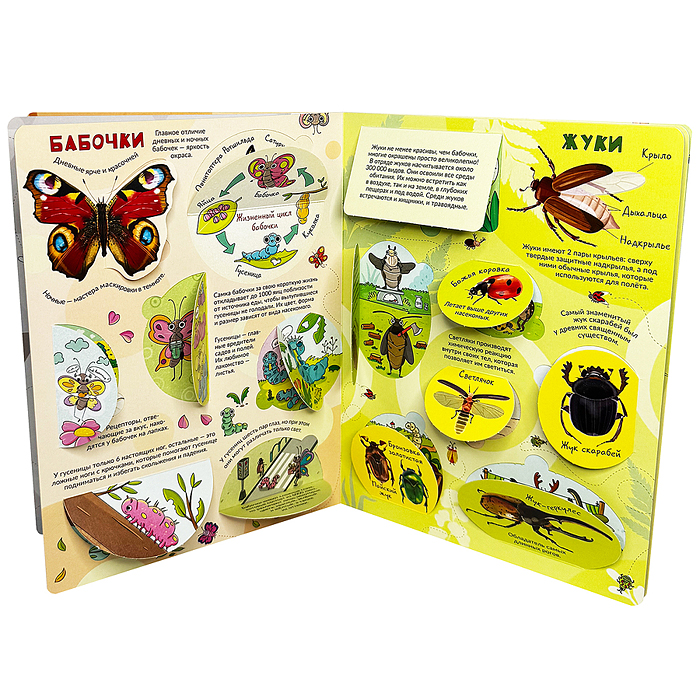 Энциклопедия с окошками (ЦК) Моя первая книга о насекомых