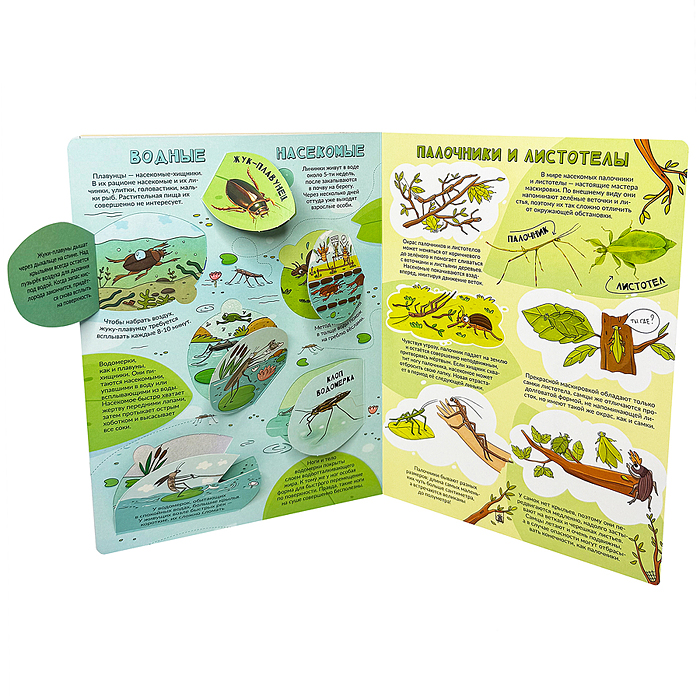 Энциклопедия с окошками (ЦК) Моя первая книга о насекомых