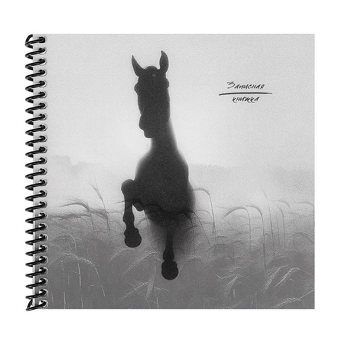 Записная книжка 48л. "Конь в туммане" 158х158см. пластиковая обложка, цв.спираль