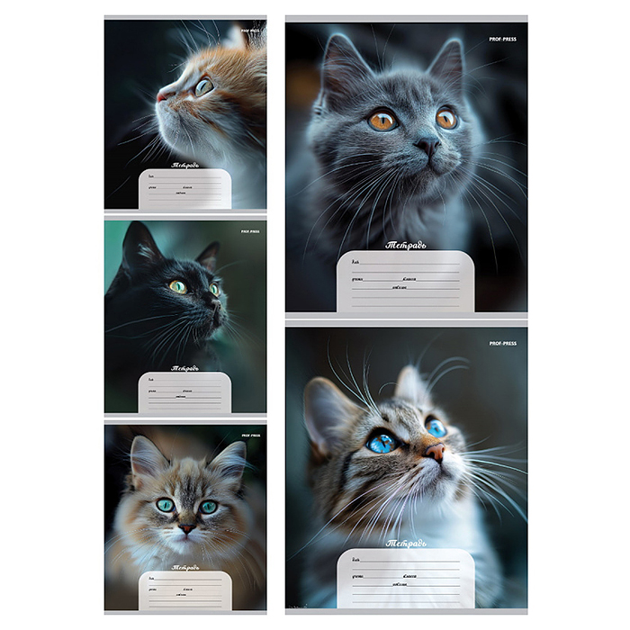 Тетрадь 12л. дополнительная косая линия "Портретные фото котов" 