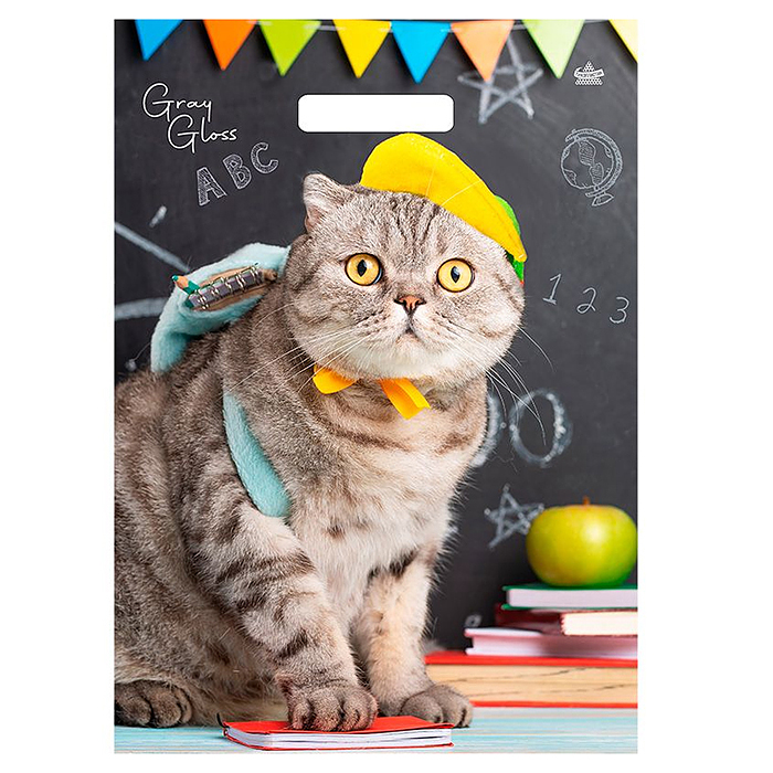 Пакет "Грэй Глосс Кот" вырубной ламинированный (430х315х50)