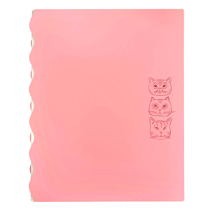 Папка для документов пластиковая А4 "Коты" полипропилен, формат 23.5х30.5 см, 4 отделения