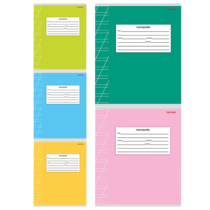 Тетрадь 12л. косая линия "Классика-2" цвет. мелов. обл., 5 дизайнов в коробке