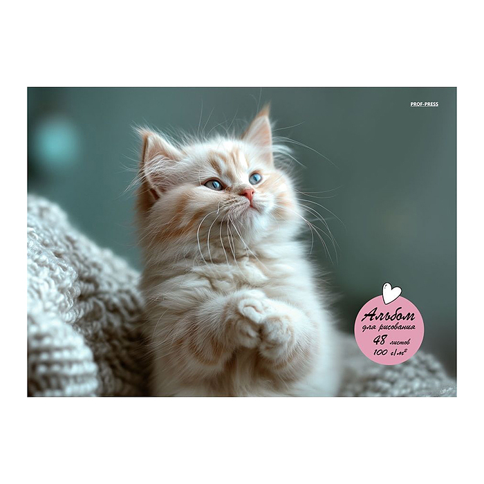 Альбом для рисования А4 48л. "Маленький забавный кот" 
