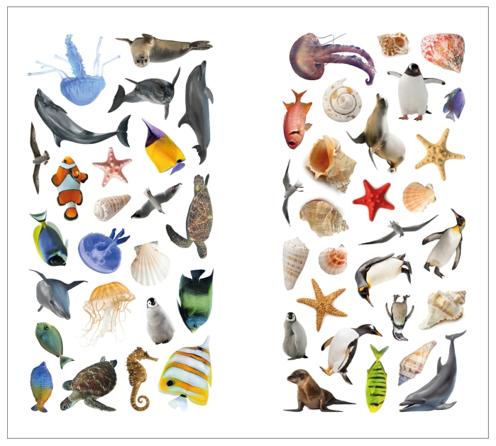 Фотонаклейки. В море