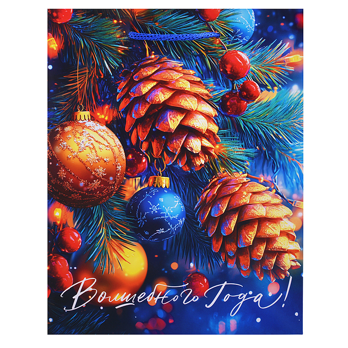 Бумажный пакет для сувенирной продукции с ламинацией, с шириной основания 17,8 cм.