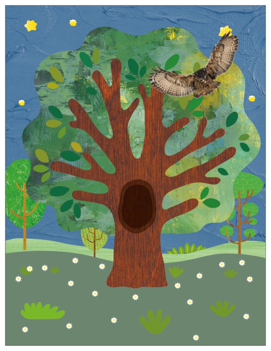 Фотонаклейки. В лесу