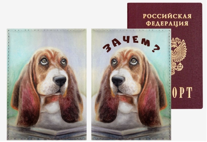 Обложка для паспорта "Зачем?" 10x14 см, искусственная кожа, поролон