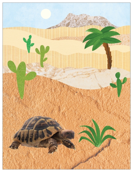 Фотонаклейки. В Африке