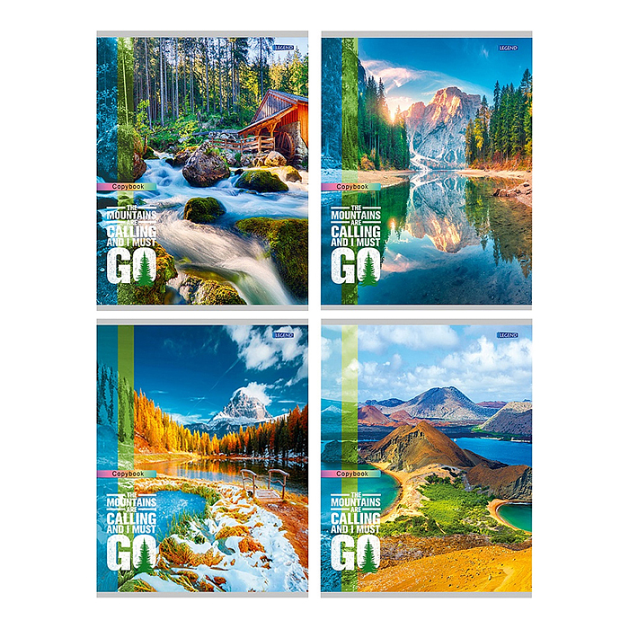 Тетрадь 96л. линия "Захватывающие виды-1" цвет.мелов.обл, 4 дизайна в коробке
