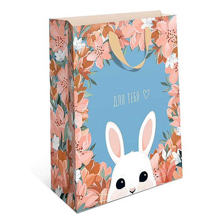 Пакет бумажный стандарт плюс