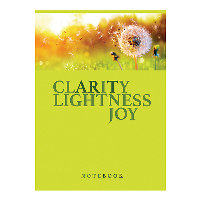 Тетрадь 80л. клетка А4 S "Думай, планируй, действуй!" стандарт 