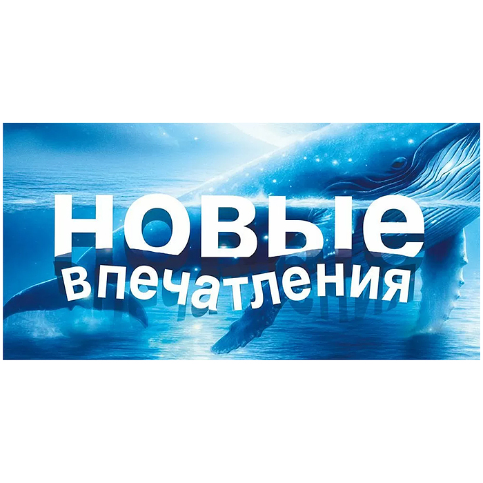 Конверт для денег "Новые впечатления"