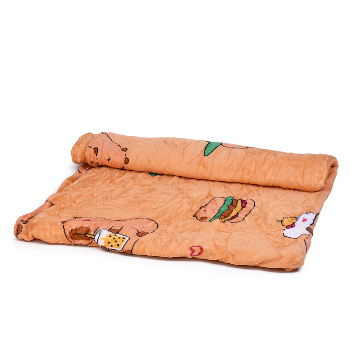 Мягкая игрушка "Капибара" М1578 с пледом