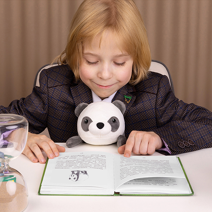 Панда Кэти, 18см, в коробке