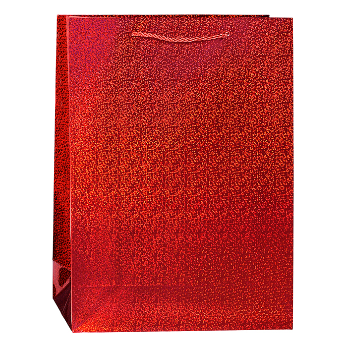 Пакет подарочный 00-7428 "Магия момента" 40*30*12см