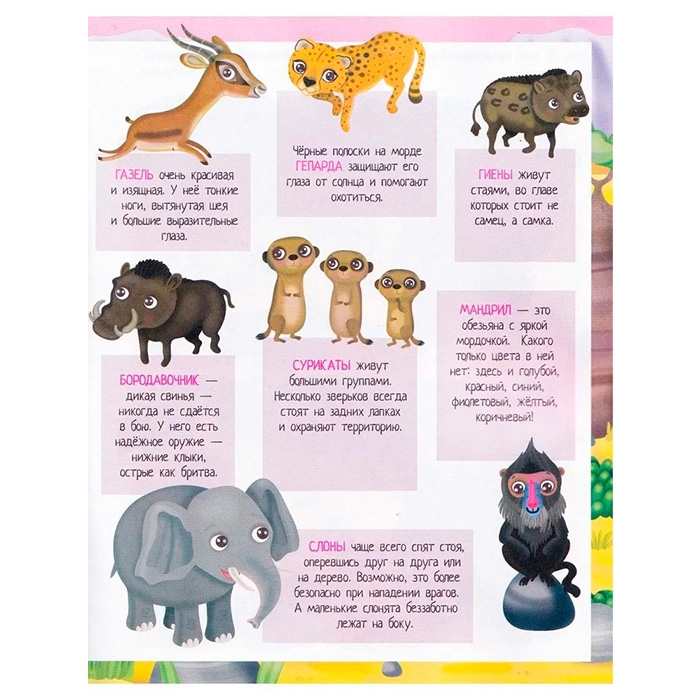 Книжка с наклейками формат А4. Приключения в жаркой саванне. 50 наклеек. Барсотти Э.
