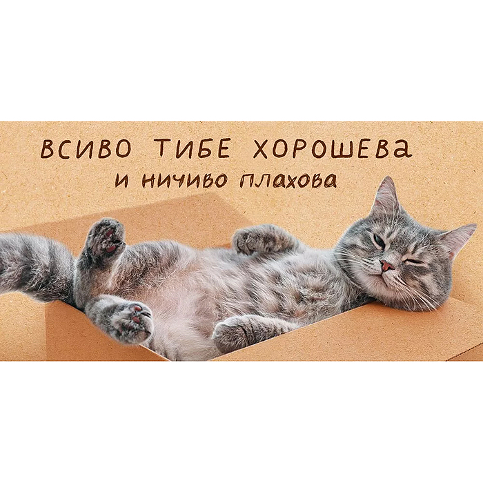 Конверт для денег "Всиво тибе хорошева"