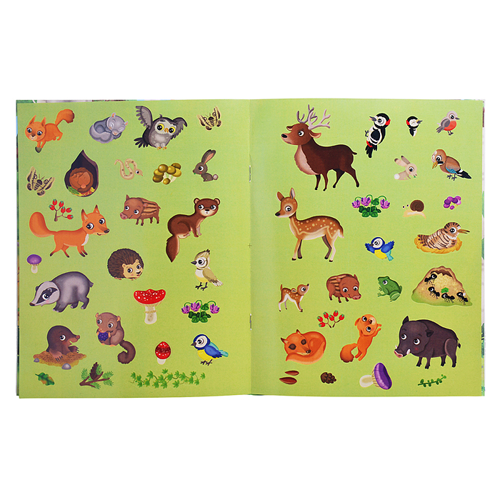 Книжка с наклейками формат А4. Приключения в зеленом лесу. 50 наклеек. Барсотти Э.