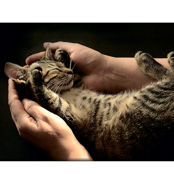 Картина на холсте с подрамником 50х40 "Счастье на ладошках"