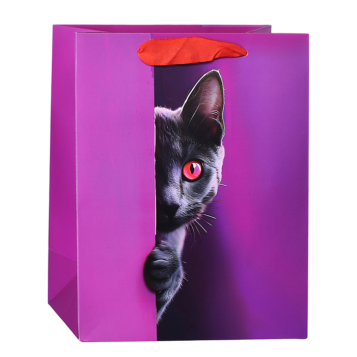 Пакет подарочный "Любопытный кот" ламинированный 18х23см, 210гр/м2