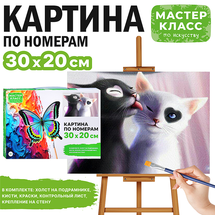 Набор для рисования MKR3020-32 "Картина по номерам 30х20 см. Инь и Янь" 